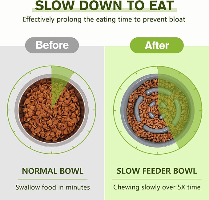 Pecute Slow Feeder Dog Bowls to Slow Down Eating, Dog Bowl Slow Feeder - Image 4
