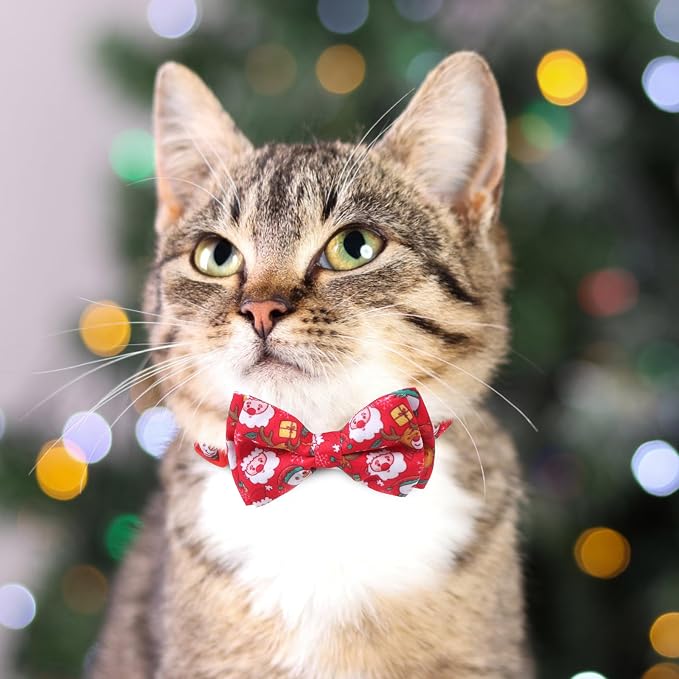 Breakaway Cat Collars with Bell & Cute Pendants - Image 5