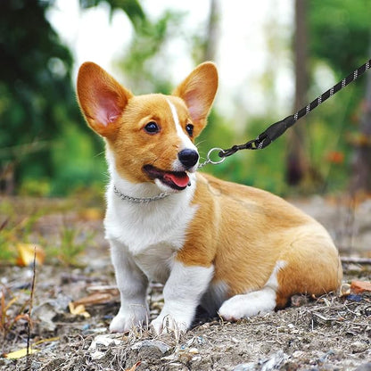 TagME Chain Choke Collar for Dogs, Adjustable Weather Proof Necklace for Small - Image 6