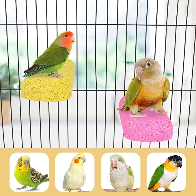 Wontee Bird Chewing Toys Grinding Beak Bird Perch Stand - Image 3