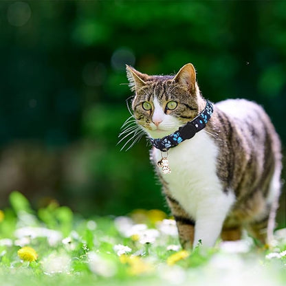Cat Collar-2 Pack Cat Collars Tennis Balls & Footprint Cat Collar Breakaway - Image 4