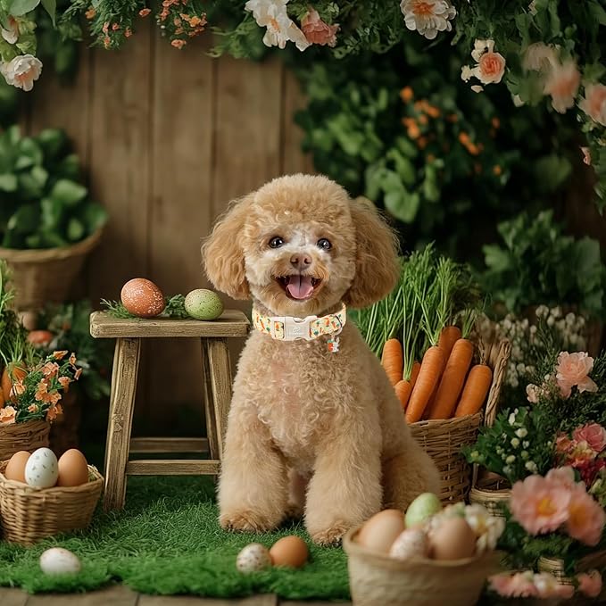 Easter Dog Collar for Large Dogs - Image 2