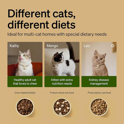 PETLIBRO Automatic Cat Feeders for 2 Cats, RFID Collar Tag for Exclusive Meals - Image 5
