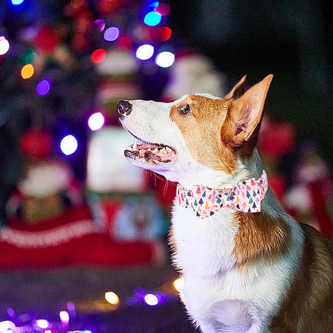 Christmas Dog Collar - Image 6