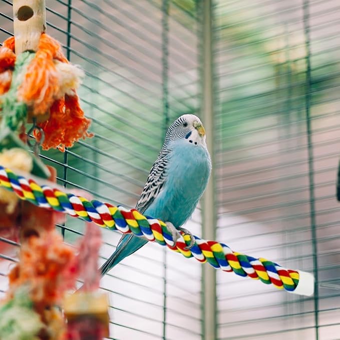 Bird Bungee Climbing Swing - Image 2