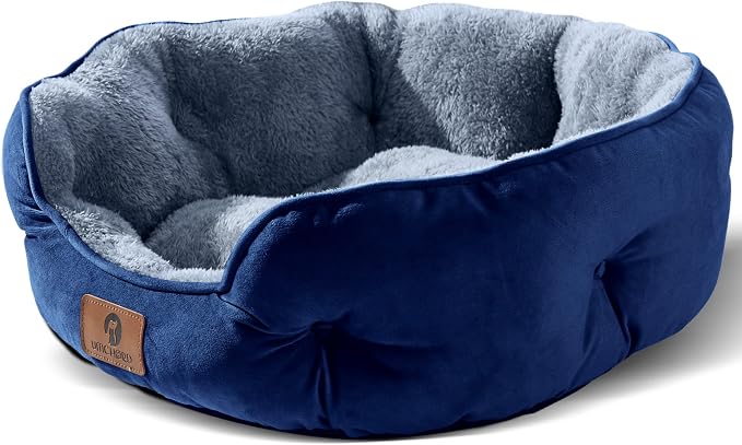 Asvin Medium Dog Bed for Medium Dogs, Large Cat Beds for Indoor Cats, Pet Bed by Asvin