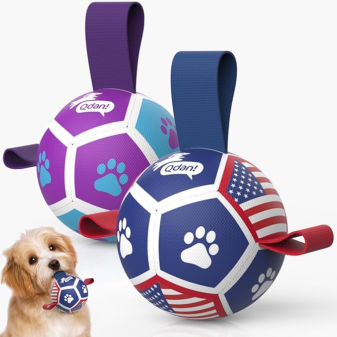 QDAN 2 Pack Small Dog Toys, Puppy Balls, Dog Balls by QDAN