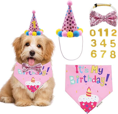 ADOGGYGO Dog Birthday Bandana Scarf and Puppy Girl Birthday Party Hat by ADOGGYGO