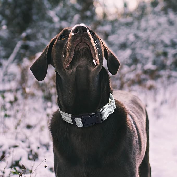 Hikiko Reflective Martingale Dog Collars - Image 2