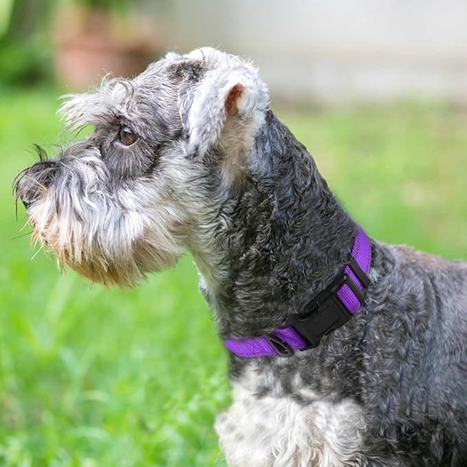 Joytale Reflective Dog Collar, Soft Neoprene Padded, Metal D-Ring, Nylon Pet - Image 2