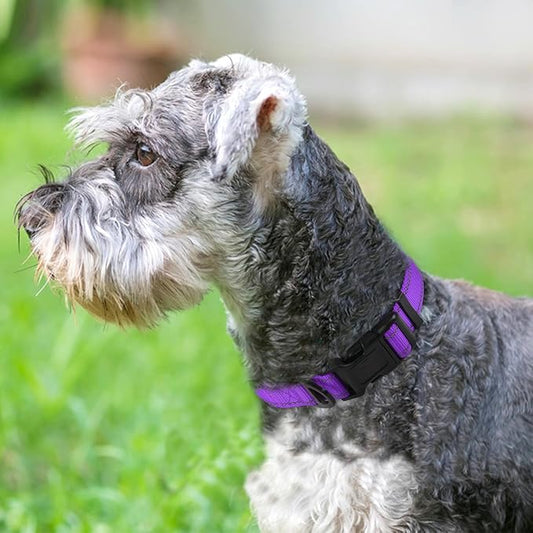 Joytale Reflective Dog Collar, Soft Neoprene Padded, Metal D-Ring, Nylon Pet - Image 2