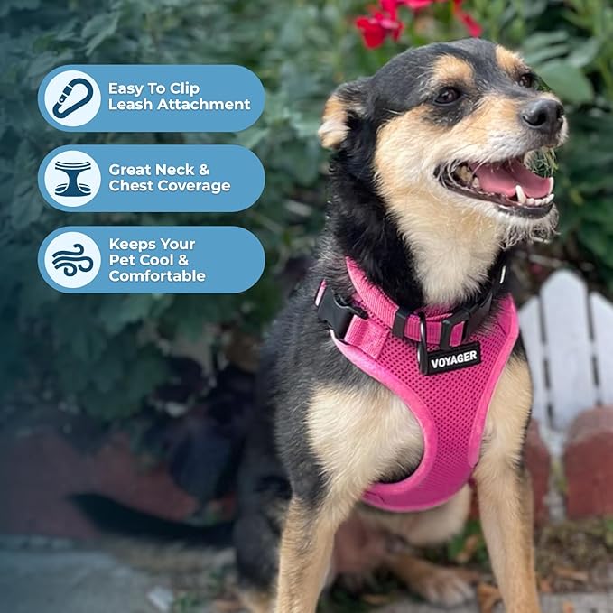 Voyager Step-in Pet Harness - Image 3