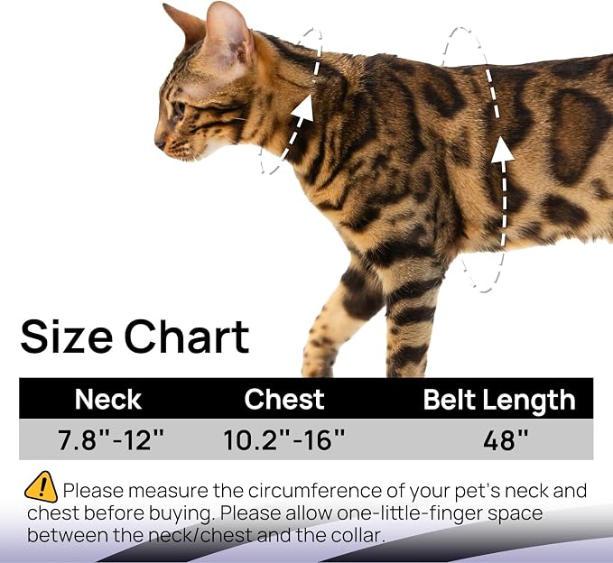 Cat Harness and Leash Set - Image 6