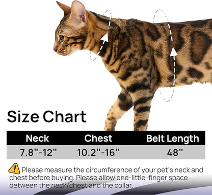 Cat Harness and Leash Set - Image 6