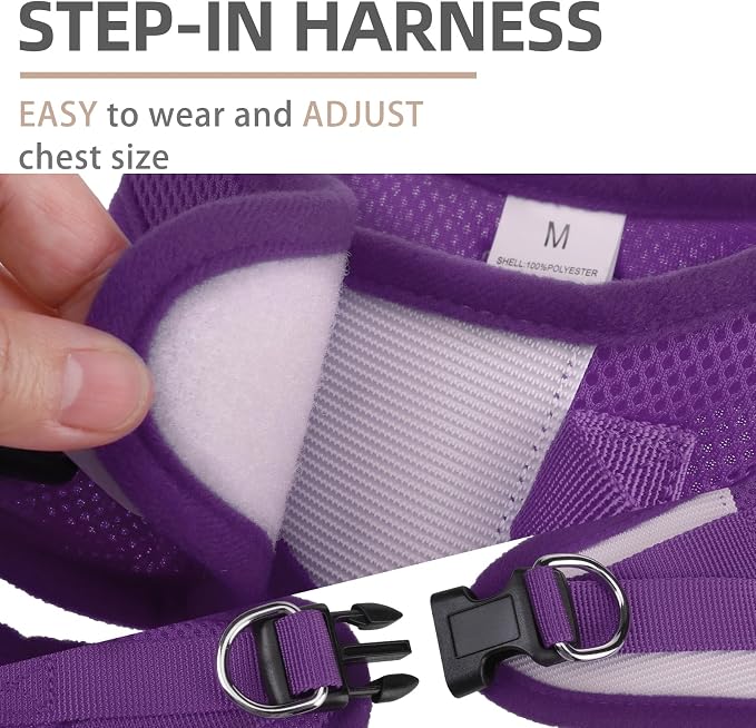 PUPTECK Adjustable Dog Harness Collar and Leash Set Step in No Pull Pet Harness - Image 3