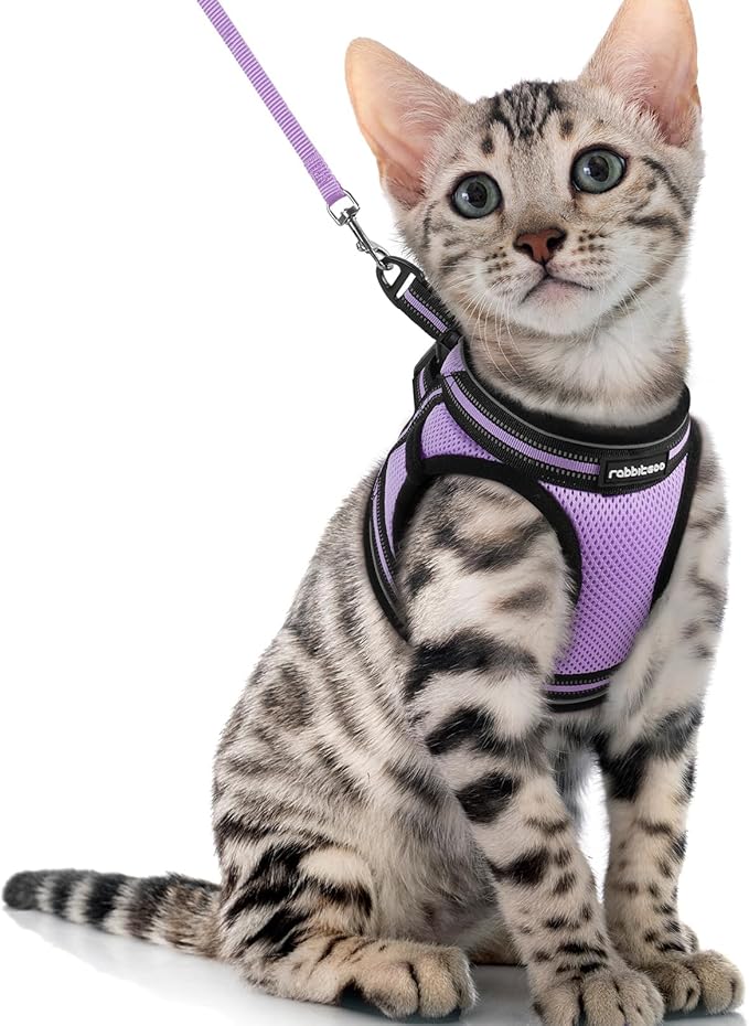 rabbitgoo Cat Harness and Leash Set by rabbitgoo