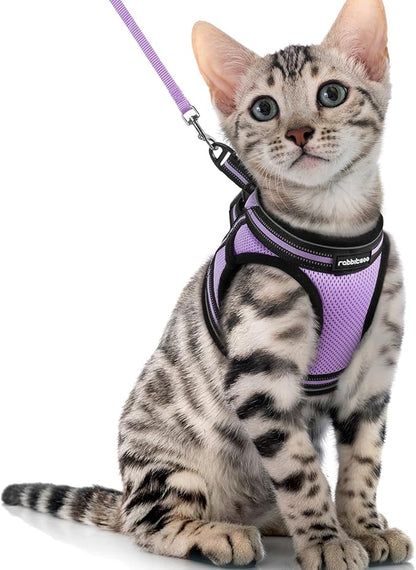 rabbitgoo Cat Harness and Leash Set by rabbitgoo