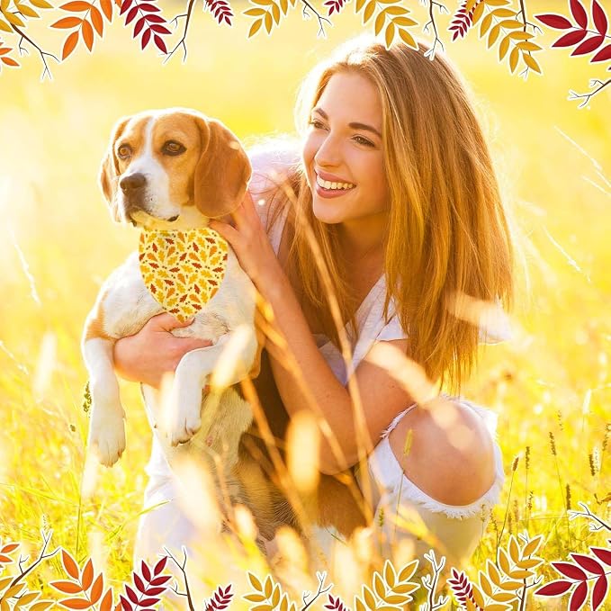 Holiday Dog Bandanas 4 Pack, Halloween Thanksgiving Christmas New Year - Image 5