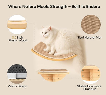 Wood Cat Wall Bed with Sisal Mat – Curved Cats Shelf - Image 2