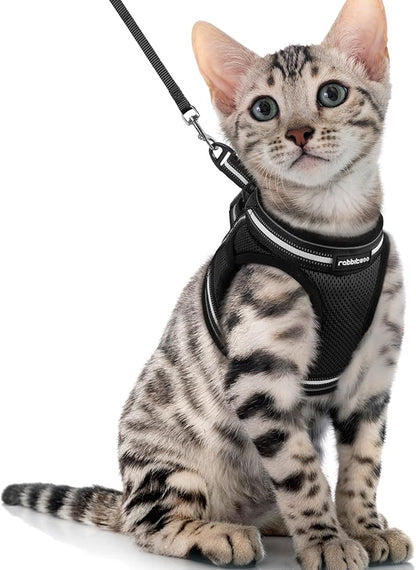 rabbitgoo Cat Harness and Leash Set by rabbitgoo