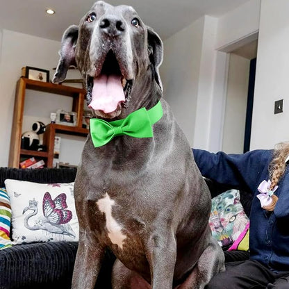 Segarty Bow Tie for Dogs Neck Girth 16.5-21.3in, Adjustable Green Bowtie Collar - Image 6