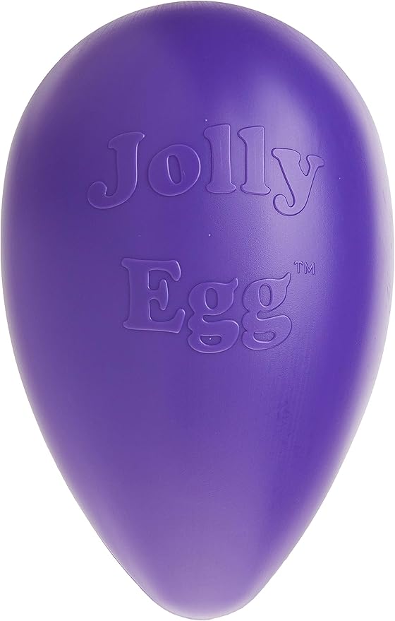 Jolly Pets Jolly Egg Dog Toy, 12 Inches/Large by JollyPets