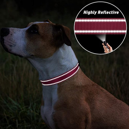 TagME Dog Collar, Adjustable Reflective Nylon Pet Collar - Image 5