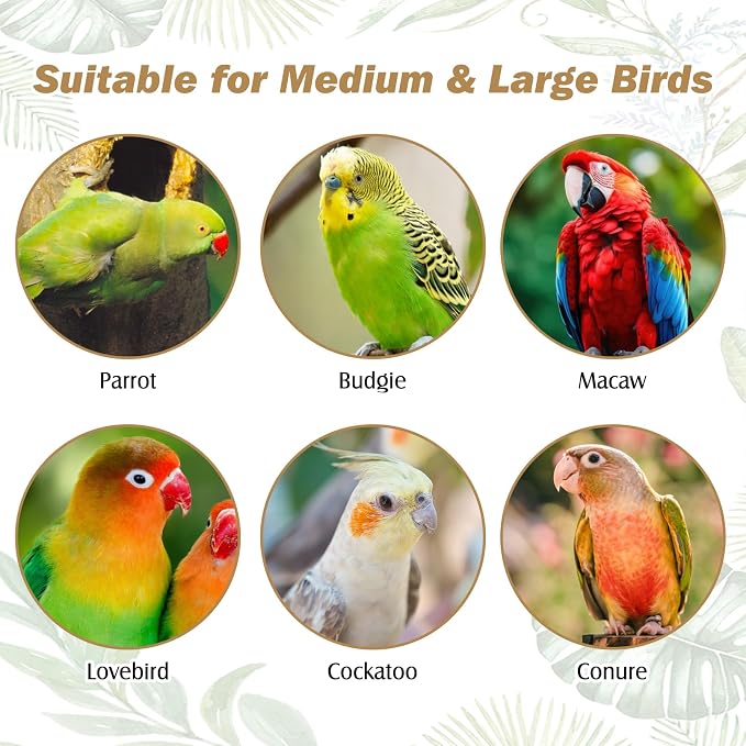 PINVNBY Natural Parrot Perch Grape Wood Bird Stand Pole Parakeet Paw Grinding - Image 7