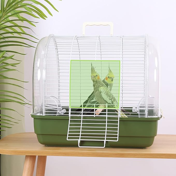 Transparent Small Bird - Image 3