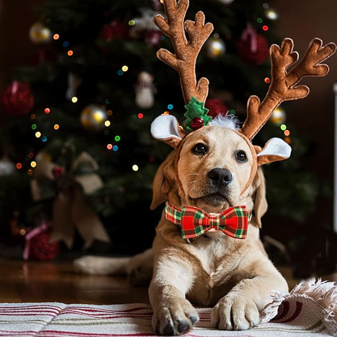 Dog Collar - Christmas Red Plaid Dog Collars Bowtie Gift Soft Bow Collar - Image 6