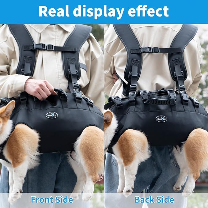Dog Lift Harness Sling Carrier for Dogs Hind Leg Stair Support Old, Joint - Image 3