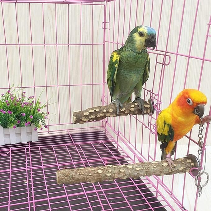 PINVNBY 3Pcs Bird Perches for Cage, Nature Wood Prickly Parrot Stand Toy Paw - Image 6