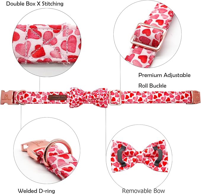 Lionheart Glory Valentine's Day Dog Collar - Image 2