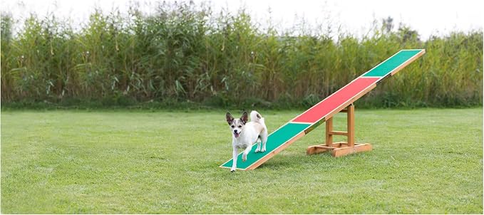 TRIXIE Dog Agility Seesaw, Canine Agility Training, Competition Seesaw - Image 2