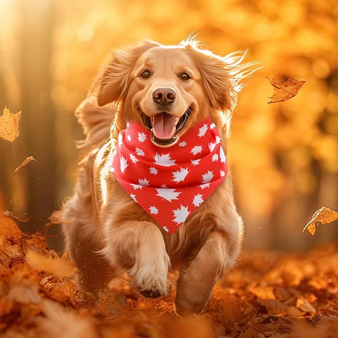 Weewooday 50 Pcs Thanksgiving Fall Dog Bandanas Bulk - Image 4