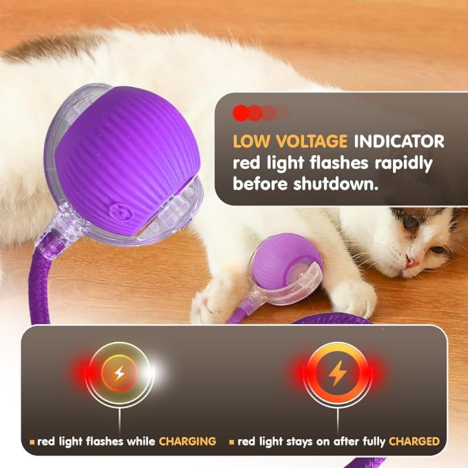 Rocfish Durable Interactive Cat Toys - Image 7
