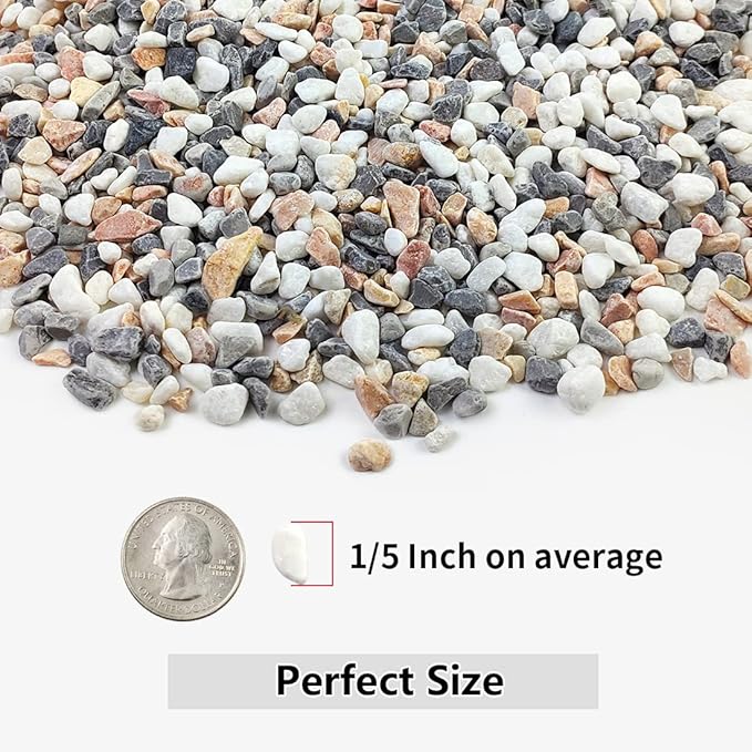 2LB Succulent and Cactus Gravel Pebbles, 1/5 Inch Natural Decorative Polished - Image 2