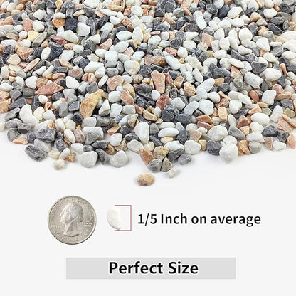 2LB Succulent and Cactus Gravel Pebbles, 1/5 Inch Natural Decorative Polished - Image 2