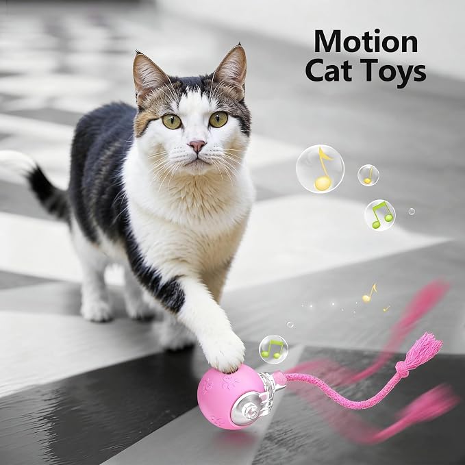 FUNNYDUCK Speed 2.0 Tail Interactive Cat Toy – Motion-Activated Rolling Ball - Image 7