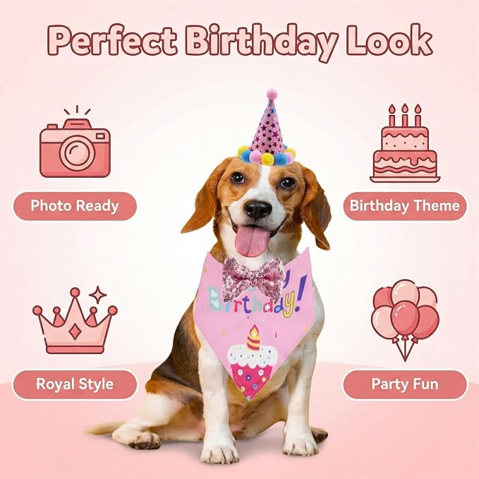 Pet Birthday Party Set with Hat and Bandana - Image 4