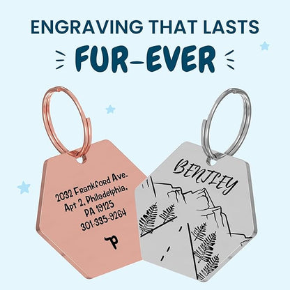PawFurEver Dog Tag Personalized Pet Name | Customized Dog Tags Engraved Front & - Image 2