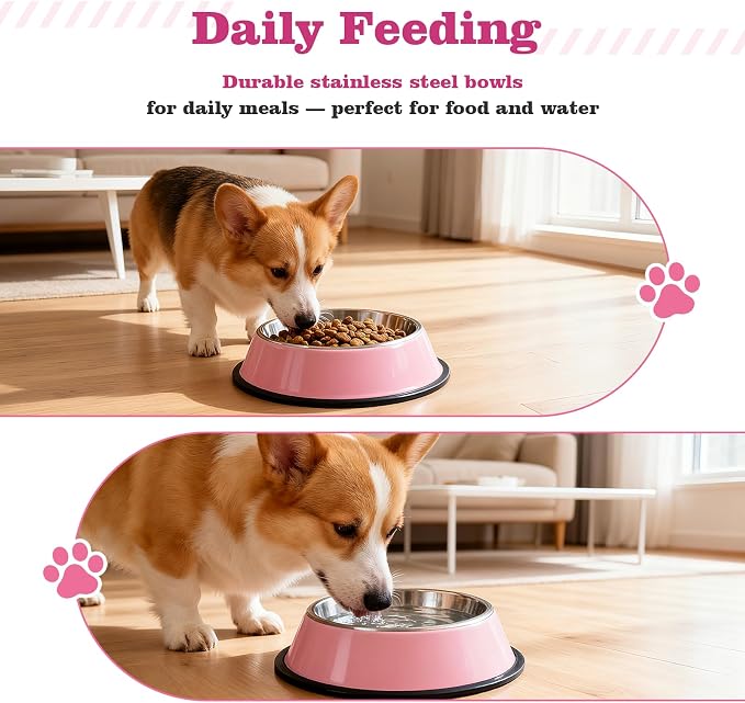 Puppy Supplies Starter Kit – Puppy Essentials and Dog Stuff Set - Image 3