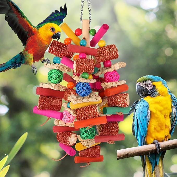 Kyouki Parrots Toys for Cockatiels, Parrotlets, Meyer's & Other Small/Medium - Image 4