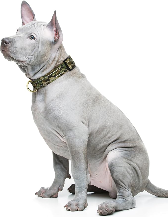 MOODEL Reflective Dog Collar for Medium Dogs, Cute Camouflage Adjustable - Image 2