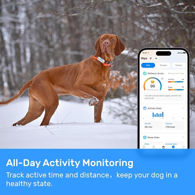 Dog GPS Tracker, Smart Waterproof Tracker - Image 2