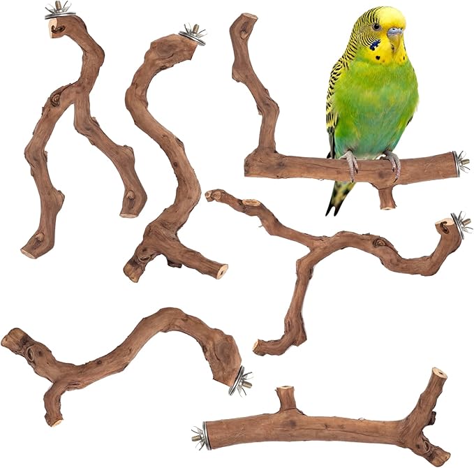6-Piece Premium Bird Perch Stand by Matutinus