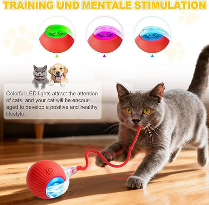 Interactive Cat Toys Ball for Indoor Cats＆Dogs, Automatic Cat Toy 360° - Image 3