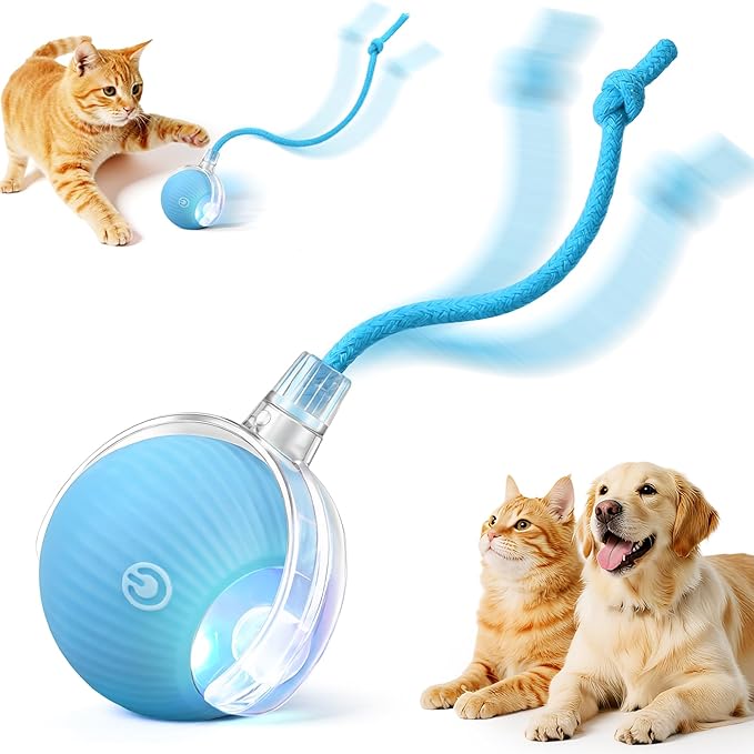 Interactive Electric Automatic Rolling Moving USB Rechargeable Self Activated by Unknown