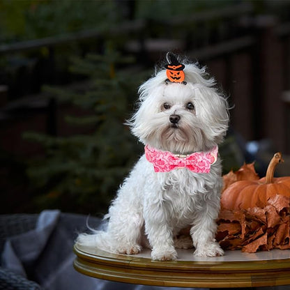 Dog Collar - Image 6