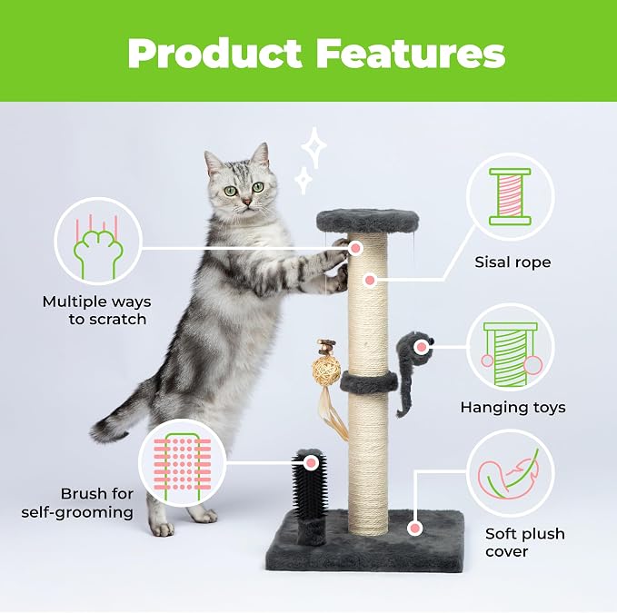 Best Pet Supplies Catify Cat Scratcher, Fun Interactive Scratchers, Claw Safe - Image 4